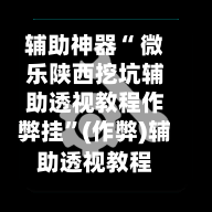 辅助神器“ 微乐陕西挖坑辅助透视教程作弊挂”(作弊)辅助透视教程