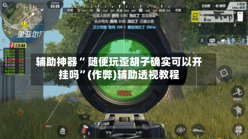 辅助神器“ 随便玩歪胡子确实可以开挂吗”(作弊)辅助透视教程-第3张图片