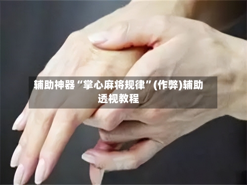 辅助神器“掌心麻将规律”(作弊)辅助透视教程