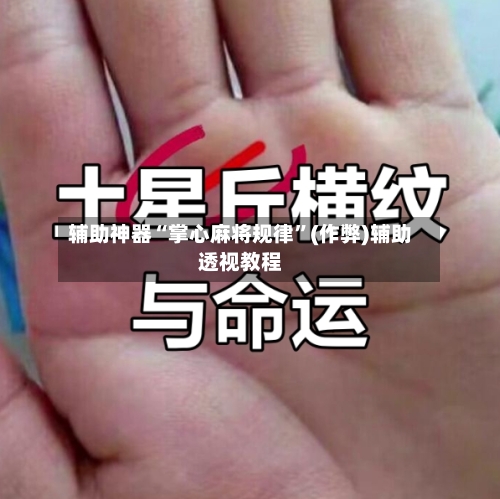 辅助神器“掌心麻将规律	”(作弊)辅助透视教程-第2张图片