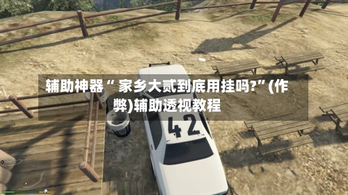 辅助神器“ 家乡大贰到底用挂吗?	”(作弊)辅助透视教程-第3张图片