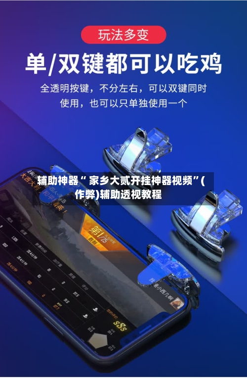 辅助神器“ 家乡大贰开挂神器视频”(作弊)辅助透视教程-第3张图片