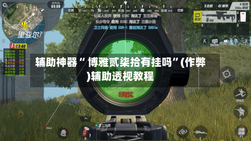 辅助神器“ 博雅贰柒拾有挂吗”(作弊)辅助透视教程-第2张图片