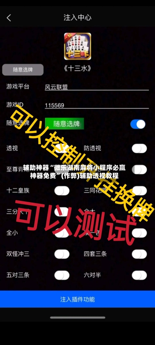 辅助神器“微乐湖南麻将小程序必赢神器免费”(作弊)辅助透视教程