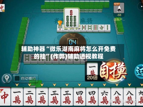 辅助神器“微乐湖南麻将怎么开免费的挂”(作弊)辅助透视教程