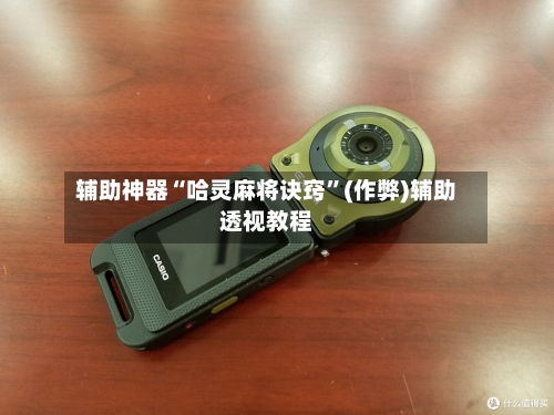 辅助神器“哈灵麻将诀窍”(作弊)辅助透视教程