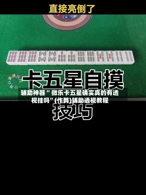 辅助神器“ 微乐卡五星确实真的有透视挂吗”(作弊)辅助透视教程